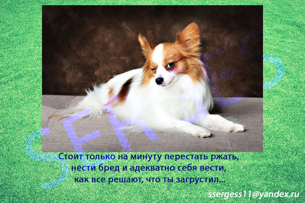 Иллюстрация автора.