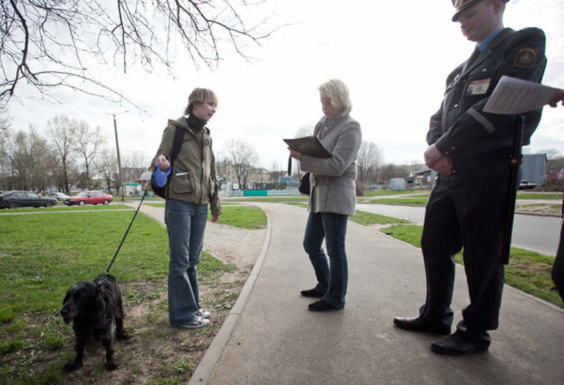 Фото:Яндекс.Картинки