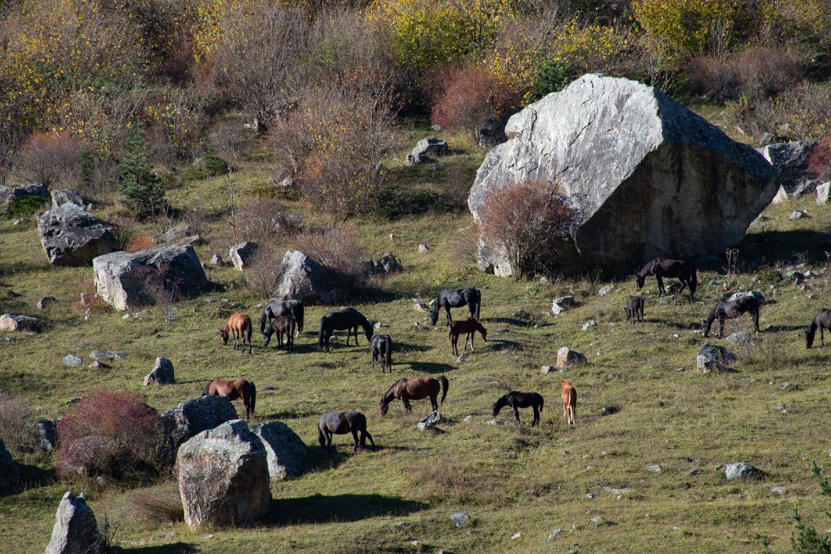 Сарай гора