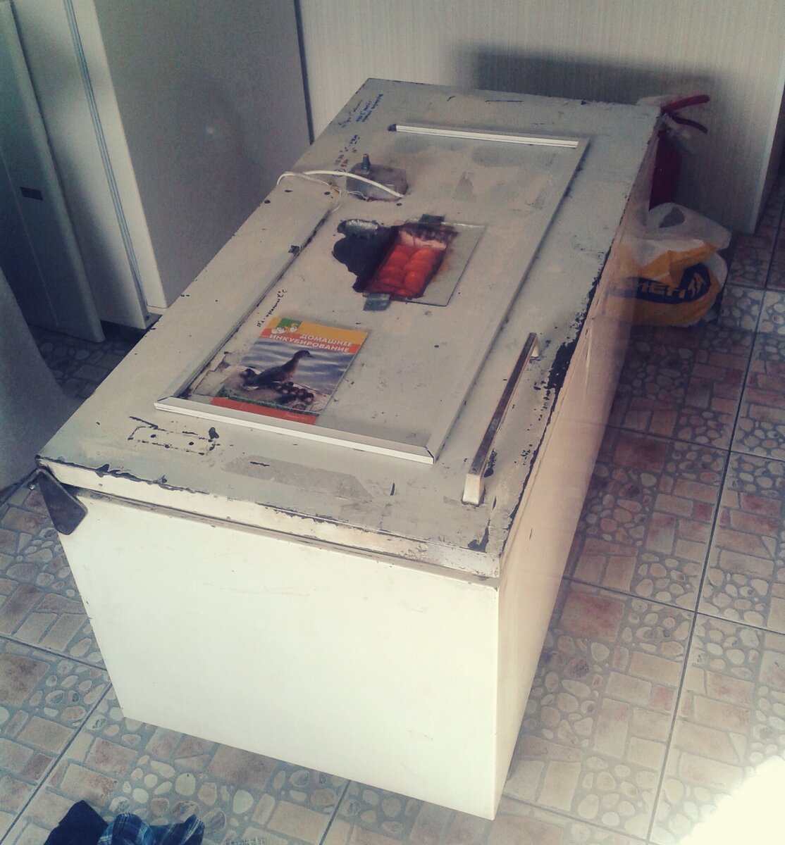 Заработок на домашних курах. Делаем инкубатор из старого холодильника