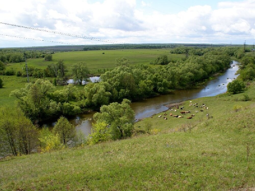 Погода саратовская аткарский. Река аткара Саратовская область. Аткарск река аткара. Река аткара Аткарский район. Река Медведица Аткарск.