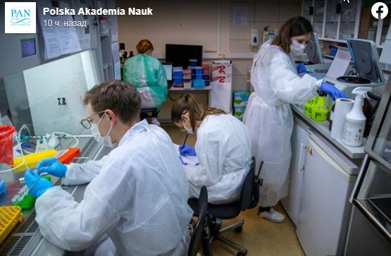 Познанские ученые изобрели тесты на коронавирус 