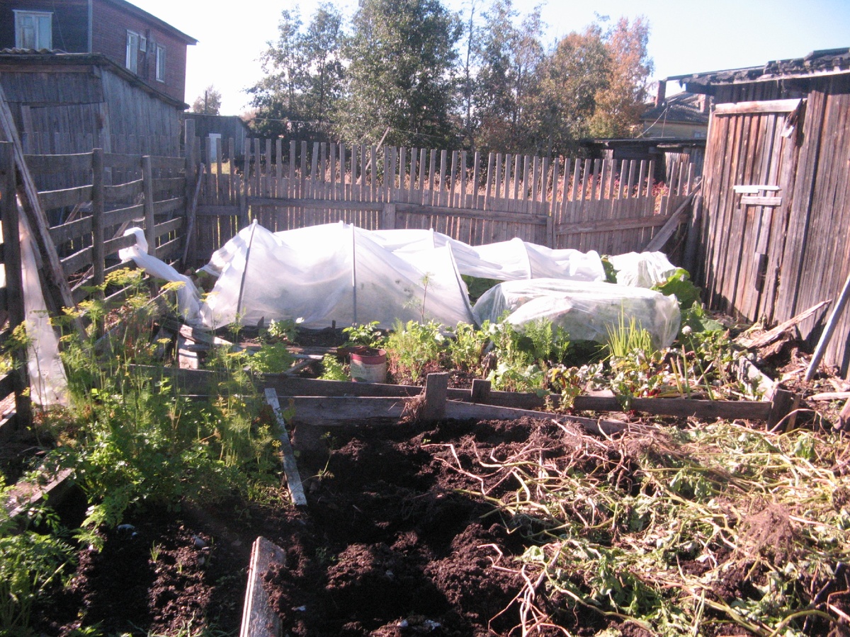 и картошка и овощи