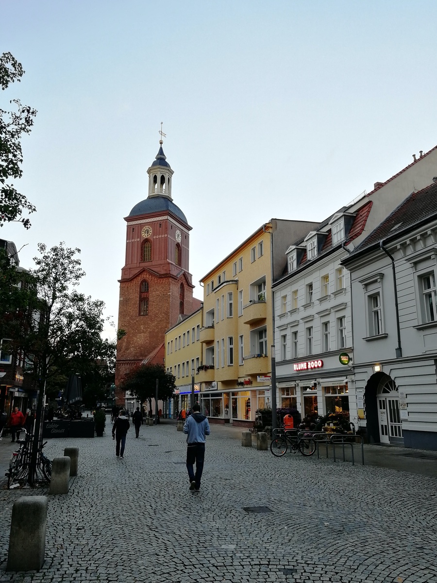 Общественная жизнь понемногу оживает.