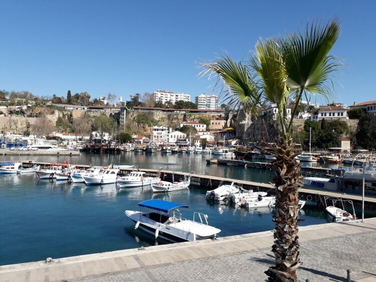 Источник фото: Федеральное агентство новостей