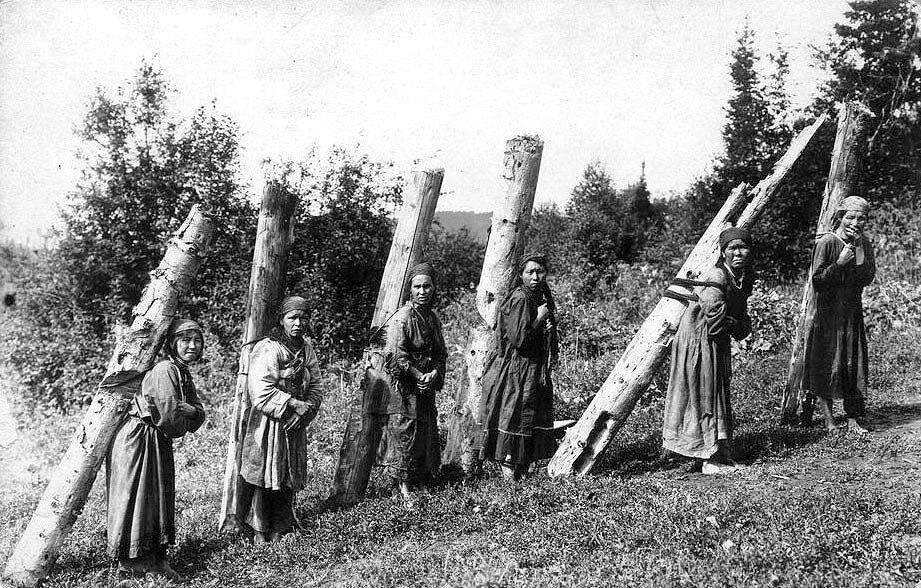 Чулымки на заготовке древесины