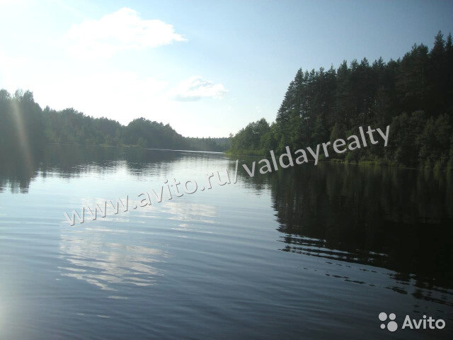 Вполне милое деревенское озеро, и рыба в нем есть.