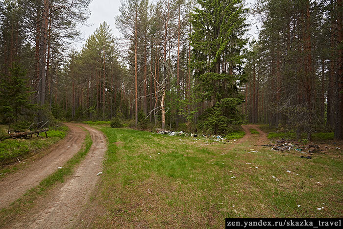 На вьезде в лес