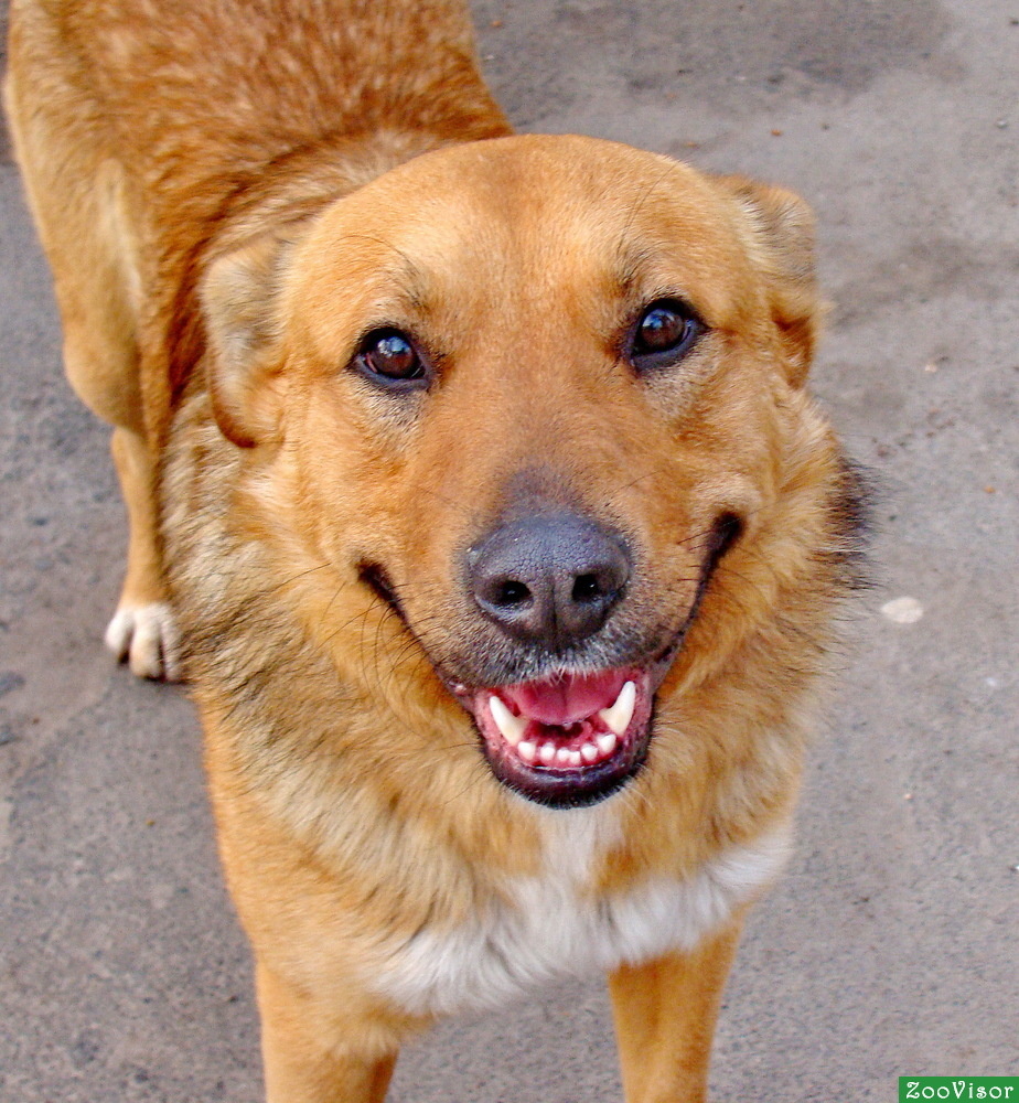 Фото из интернет