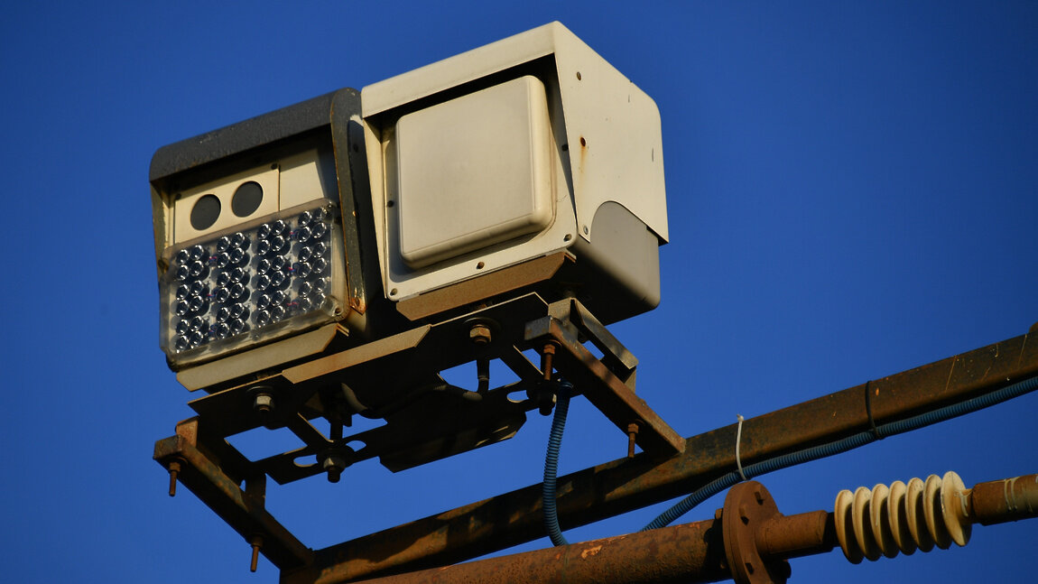 Этих чижиков, наверное, знаю все. Любят гнездиться на столбах в Москве. Фото из интернета