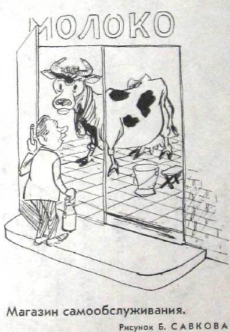 Фото из интернета 