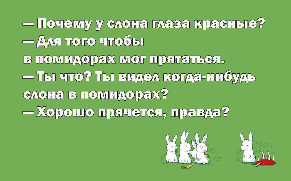 Самые тупые и абсурдные анекдоты. | С юмором по жизни | Дзен