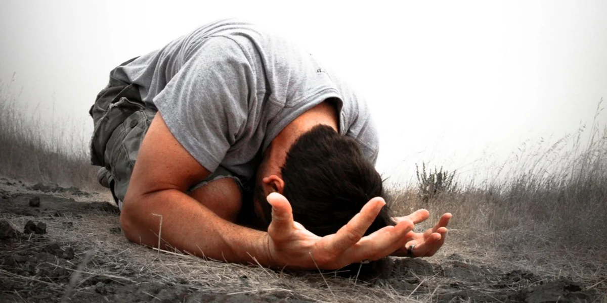 Почему обратная связь такая странная? Источник: Яндекс Картинки