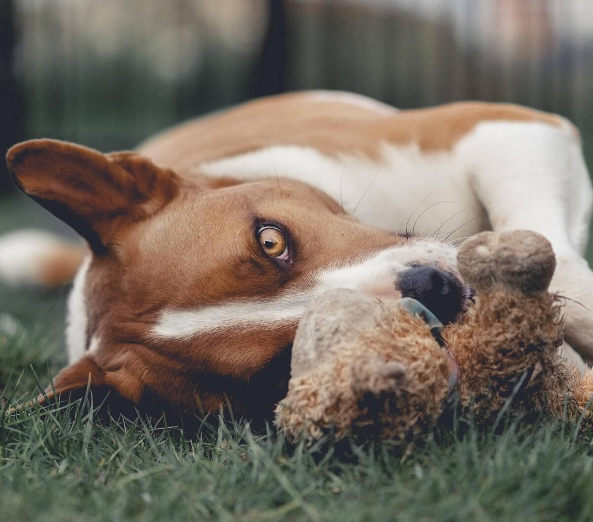 Фото © Unsplash