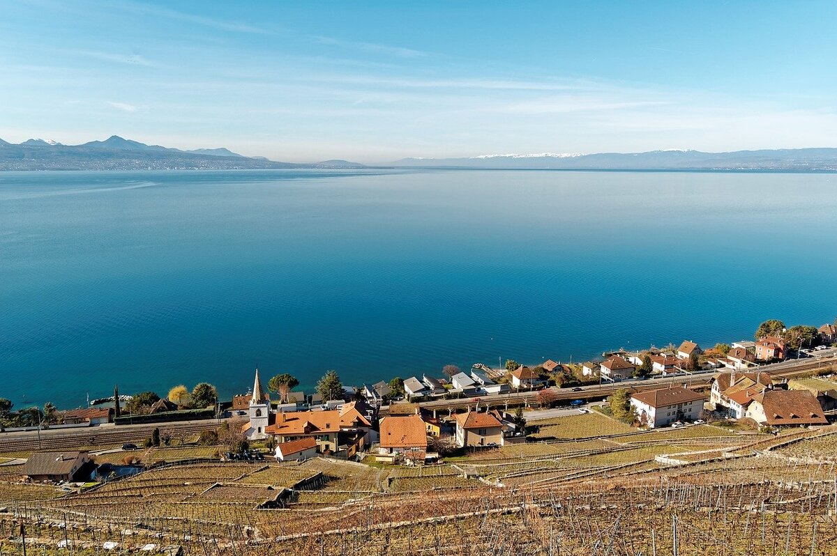 Фото:  SofieLayla Thal с сайта Pixabay