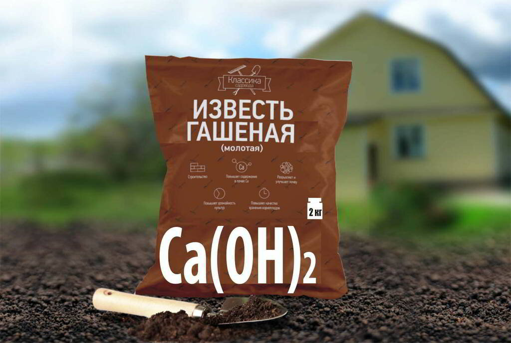 Источник фото: kemp103.ru