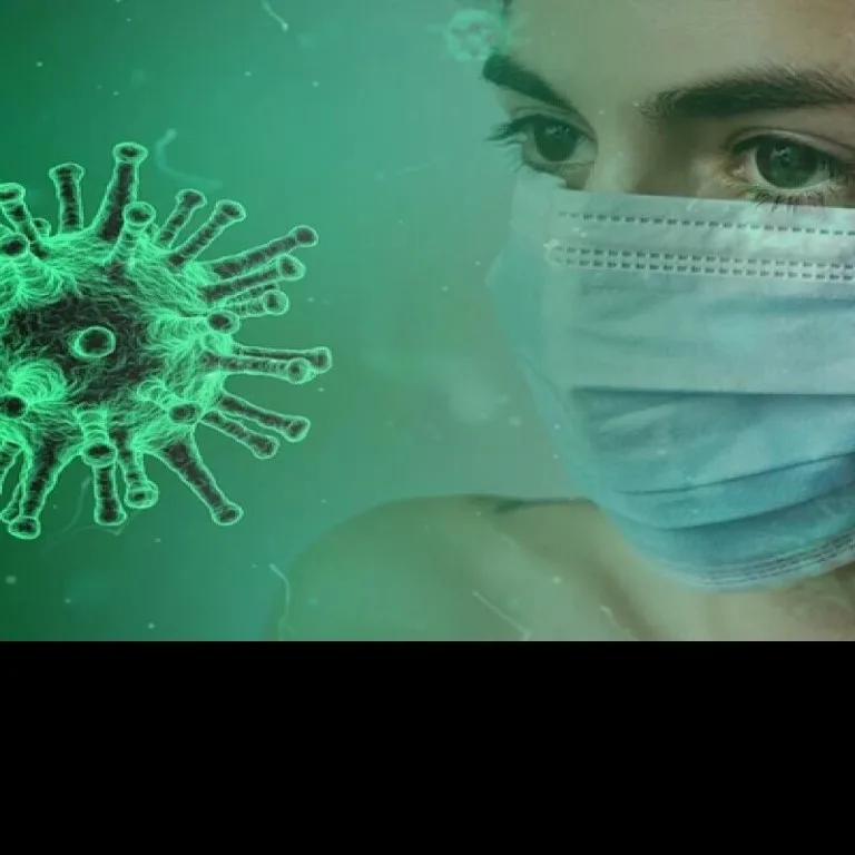 Яндекс картинки