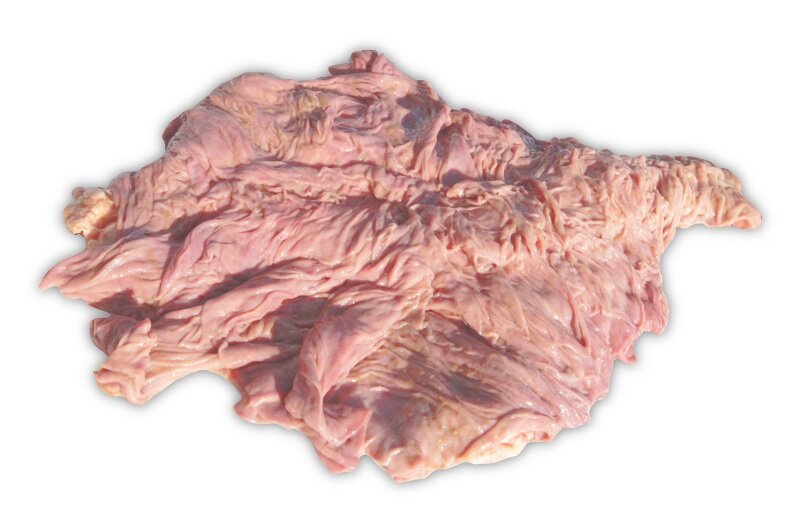 Сычуг крупного рогатого скота выглядит так