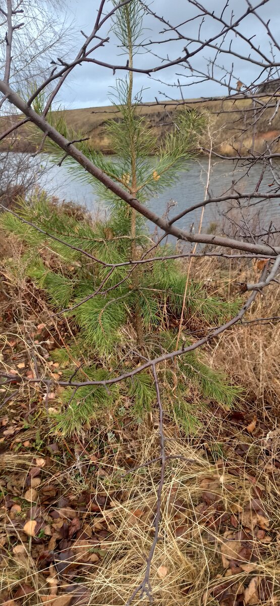 Зарабатывать руками, значит в недостатке.