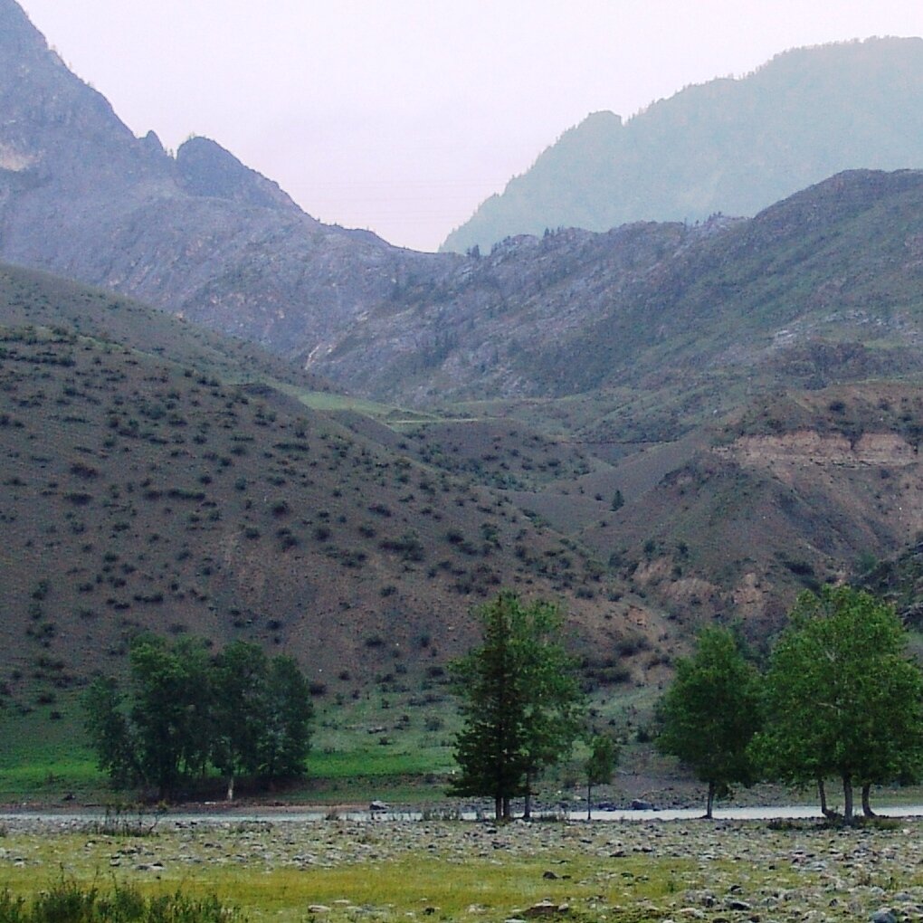 где то тут (фото автора)