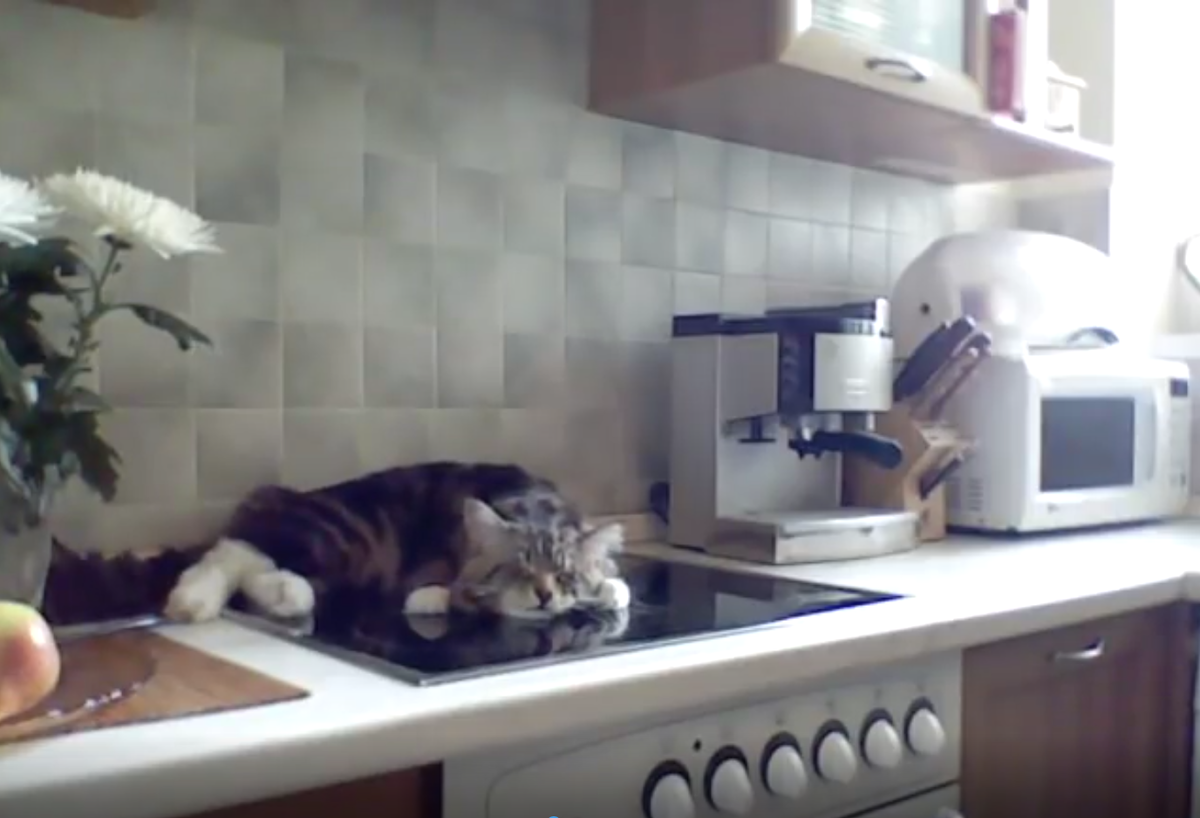 Его Величество обернулось в сторону жалкого плебея! 