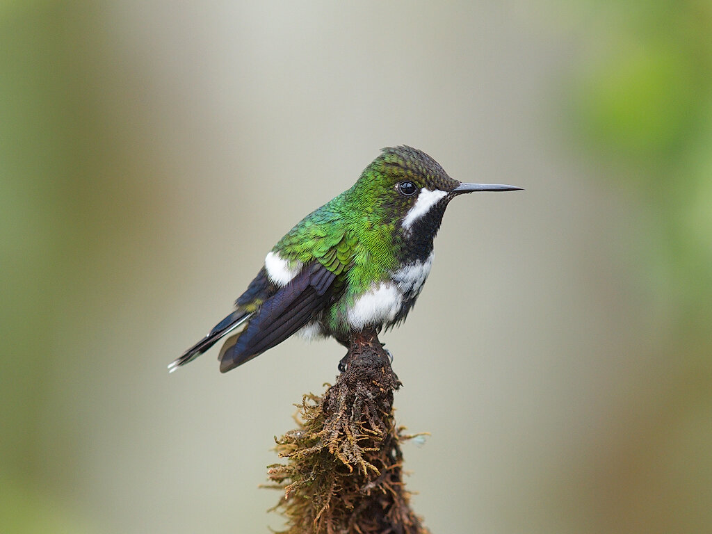 Кроха на отдыхе