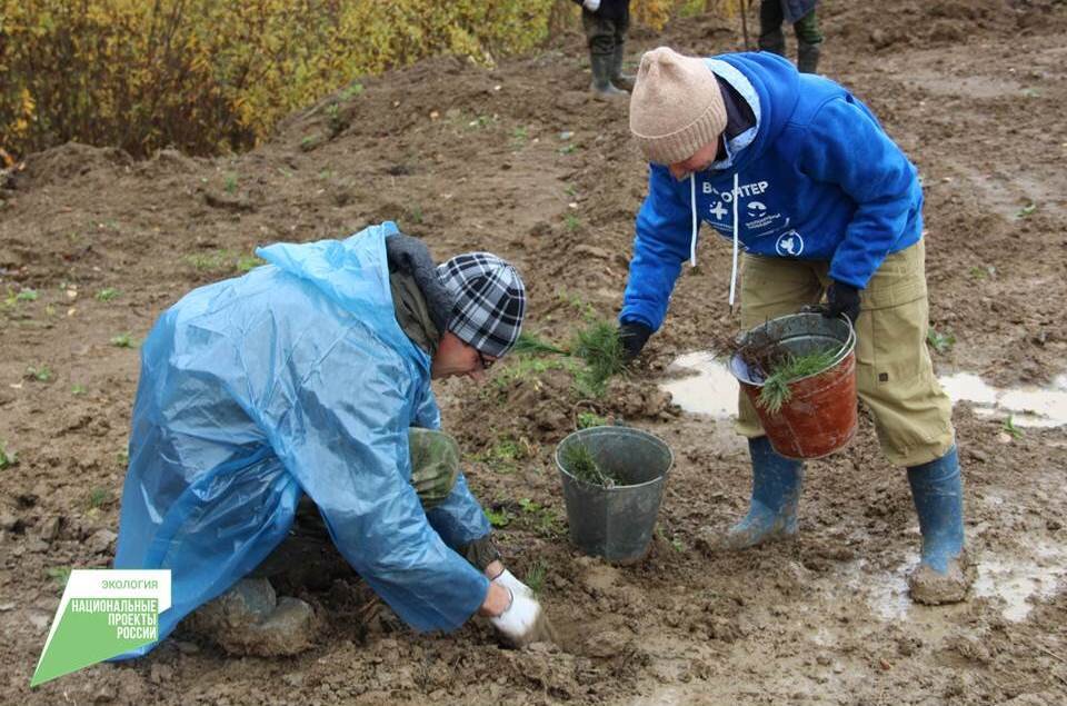 Фото: пресс-служба Минприроды Алтайского края 