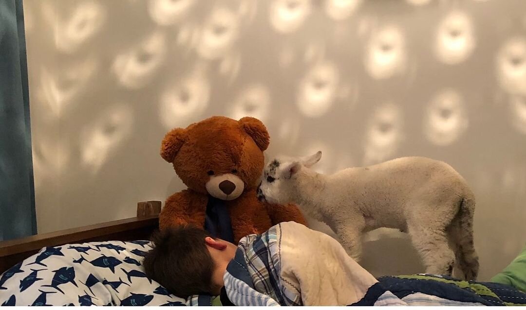 Так дом Факундо выглядит внутри