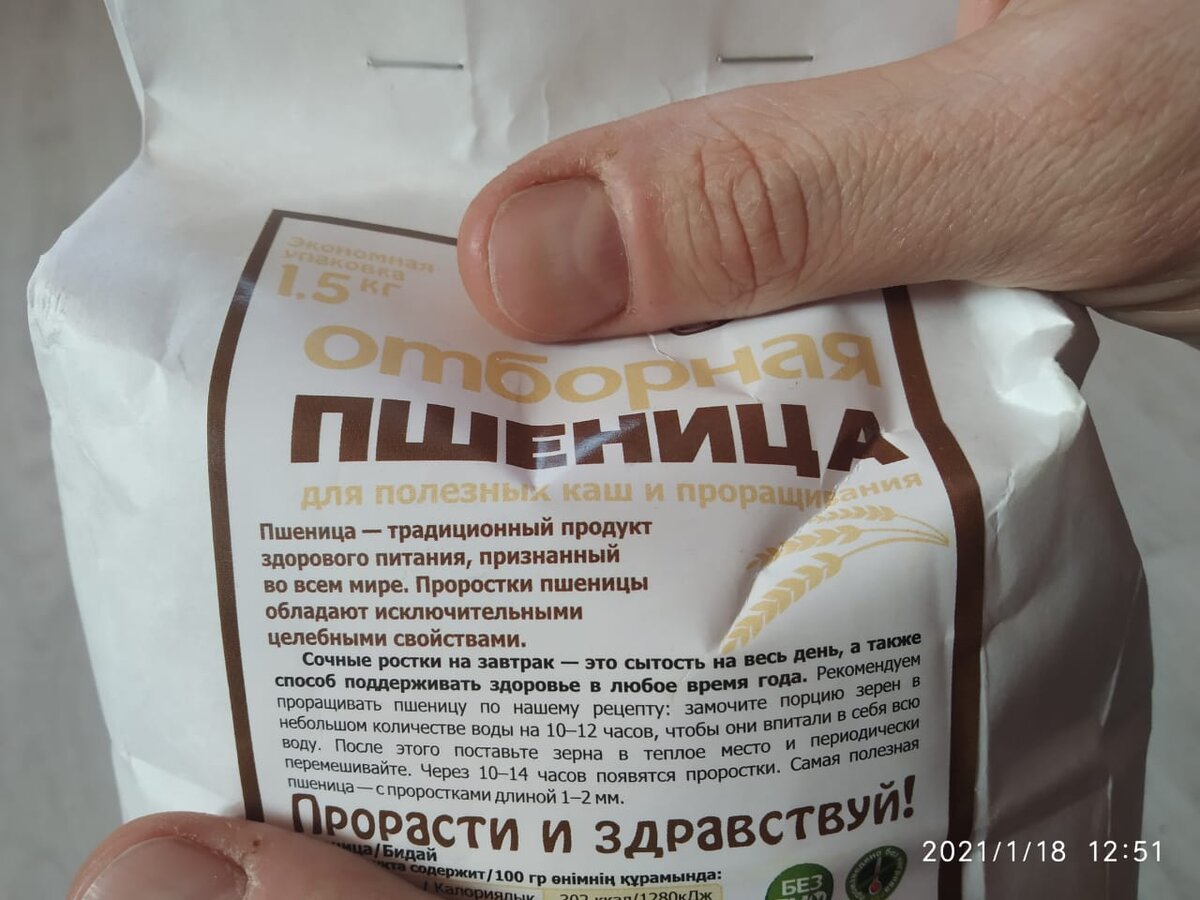 Пшеница для проращивания из магазина