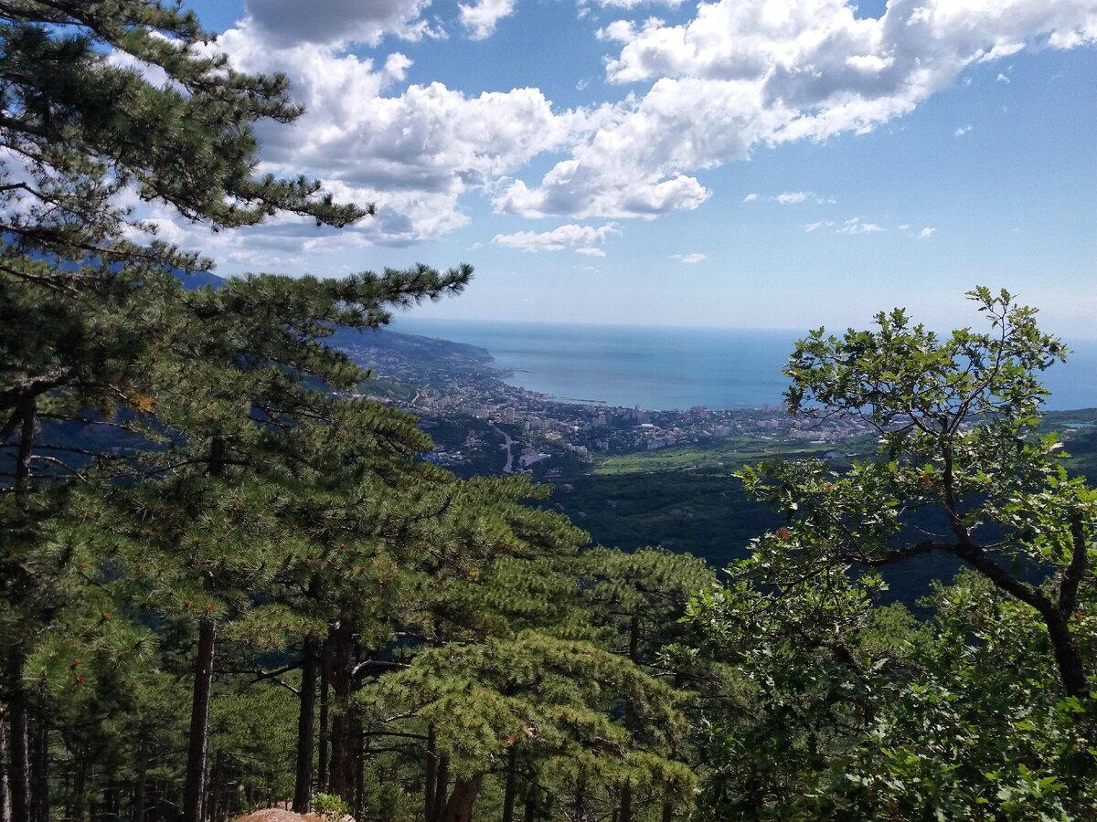 Видовая площадка на скале "Орлиный залёт"