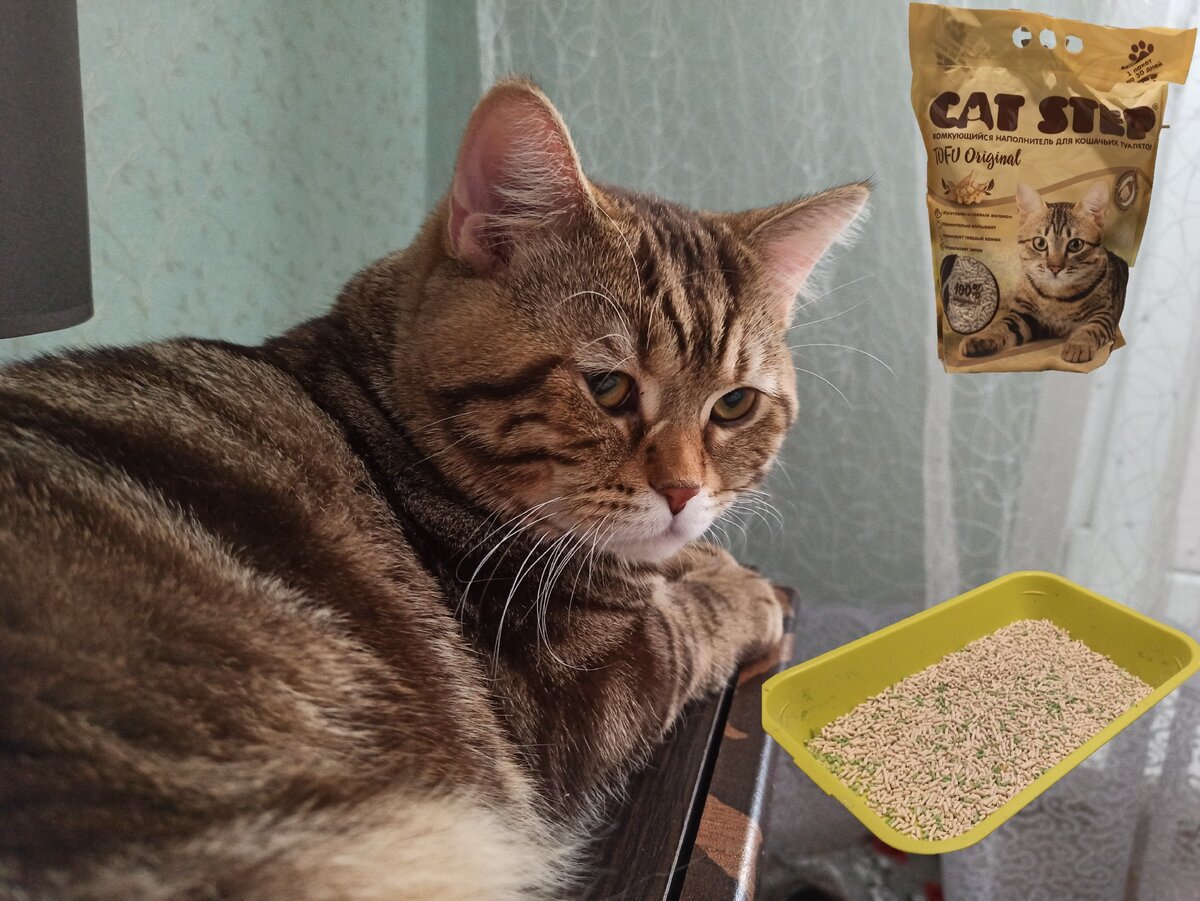 Луи и аксессуары для его туалета