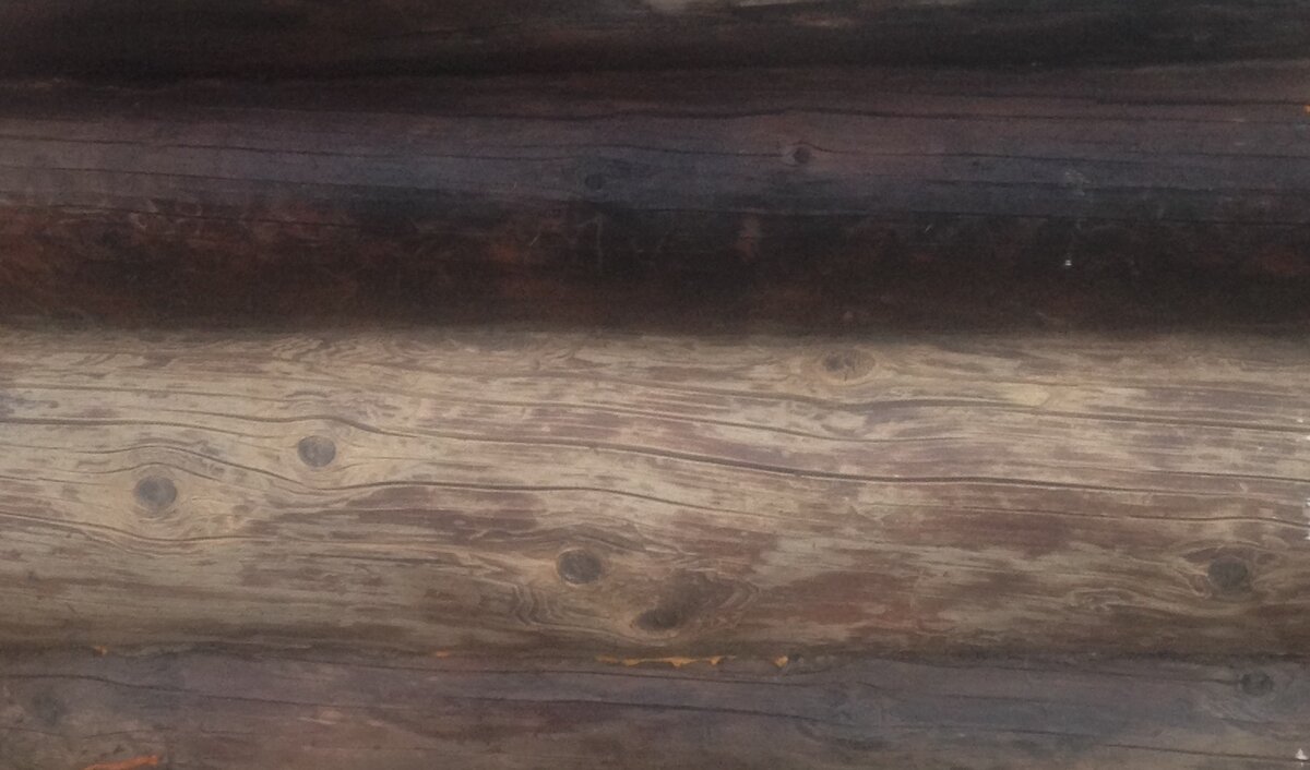 Бревно после обработки химическим средством. Выше - не обработанное.