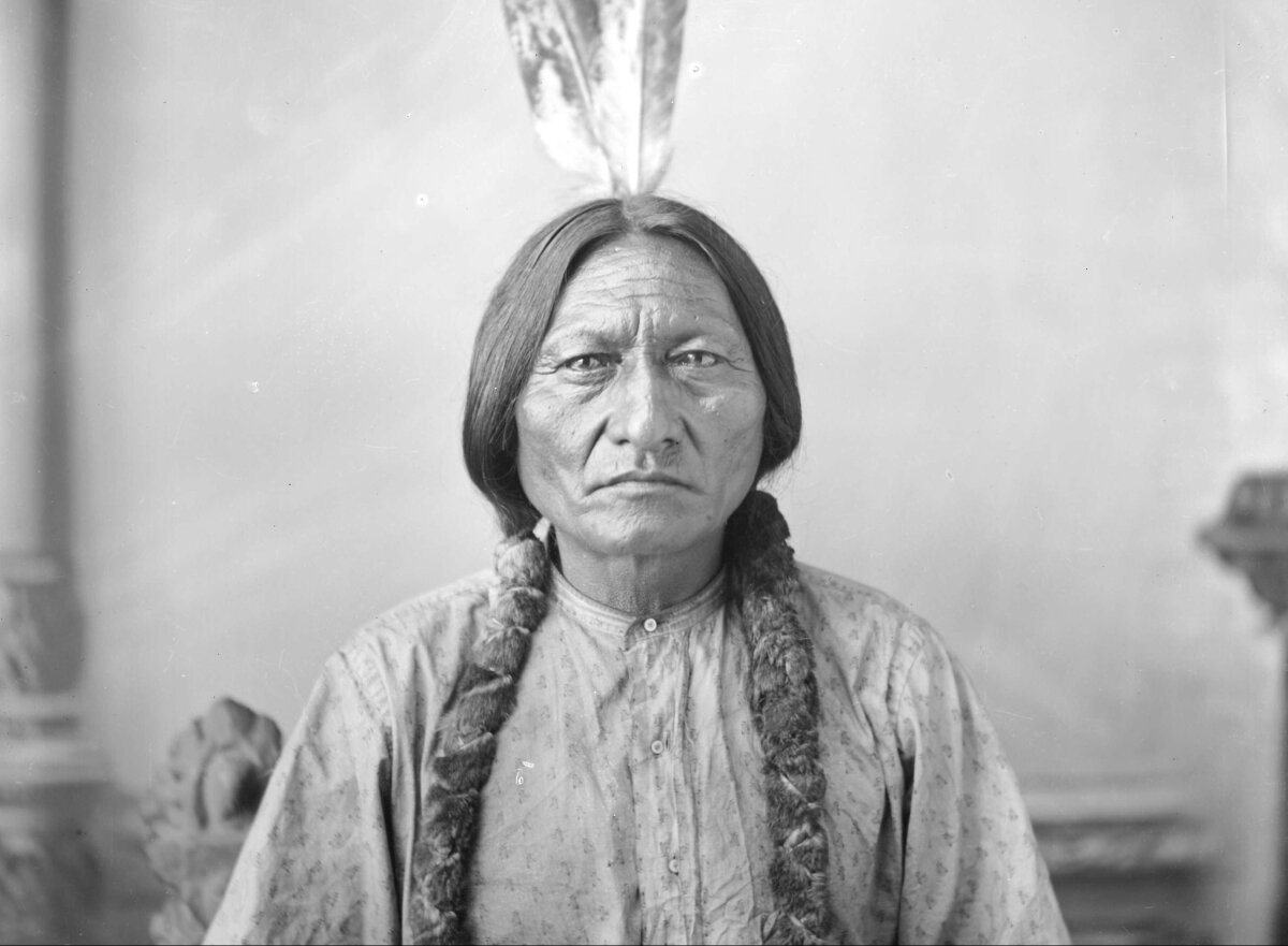 Сидящий бык