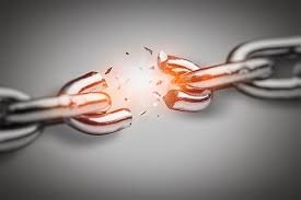 Описанная выше мутация закрепляется в геноме