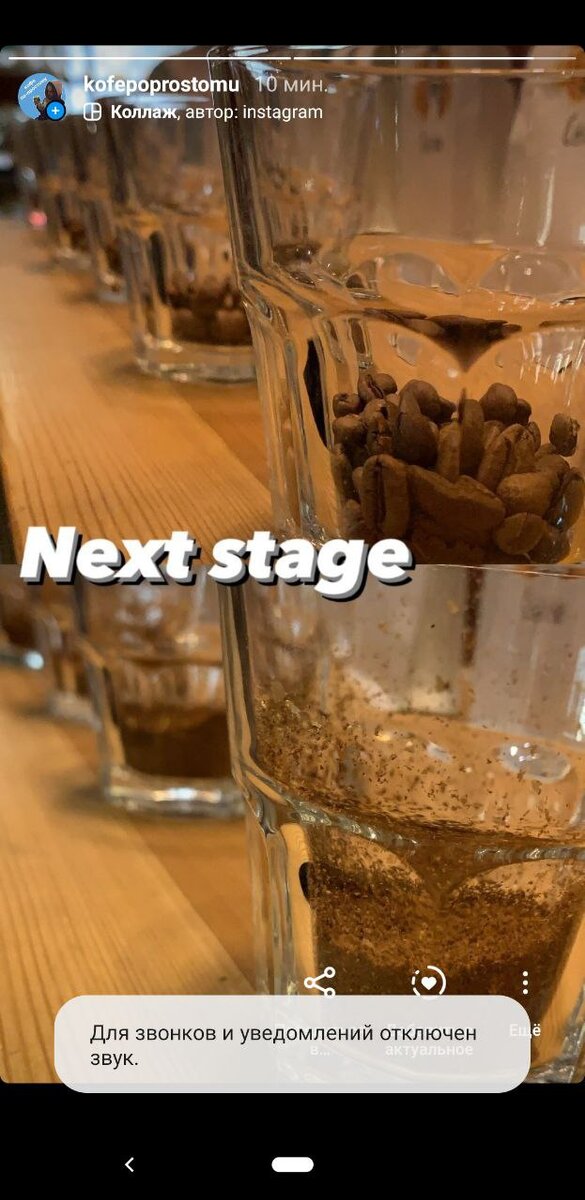 Скриншот из моего инстаграма.