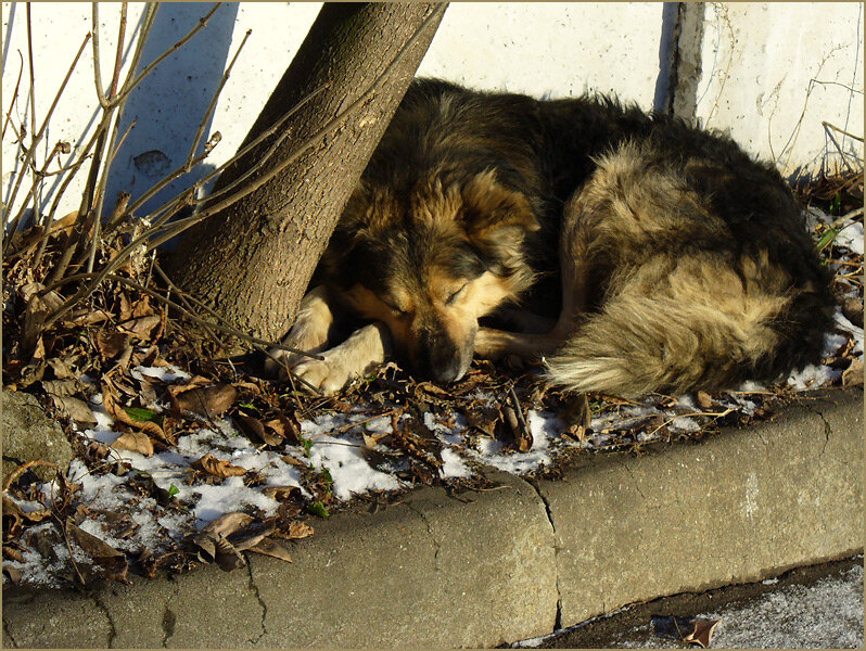 фото из яндекс.картинки