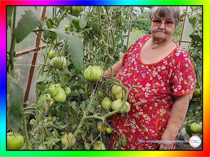 Легко ли жить пенсионерам в деревне