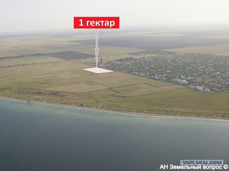 миллионы гектаров. земля в россии сколько 1000000 гектаров. гектар. миллионы гектаров. озимые татар информ.