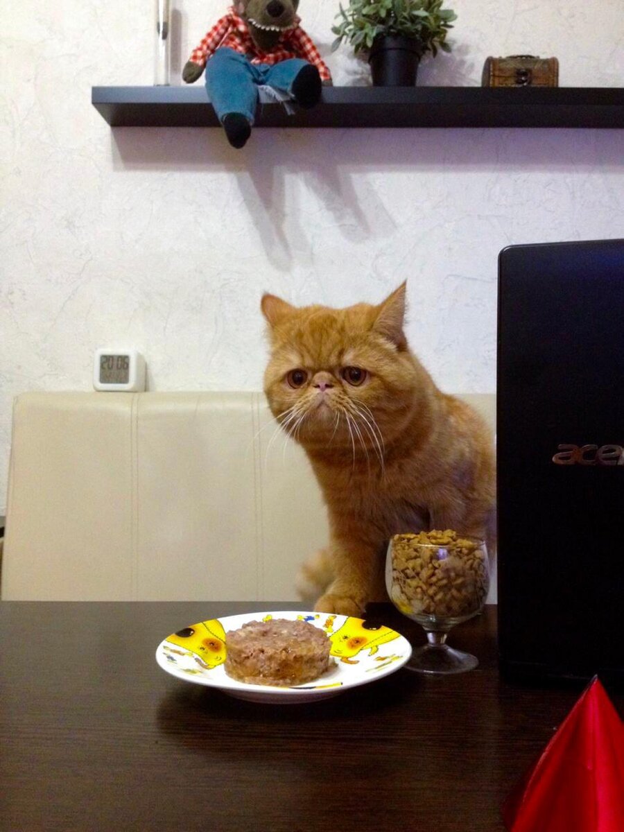 Требую продолжения банкета!