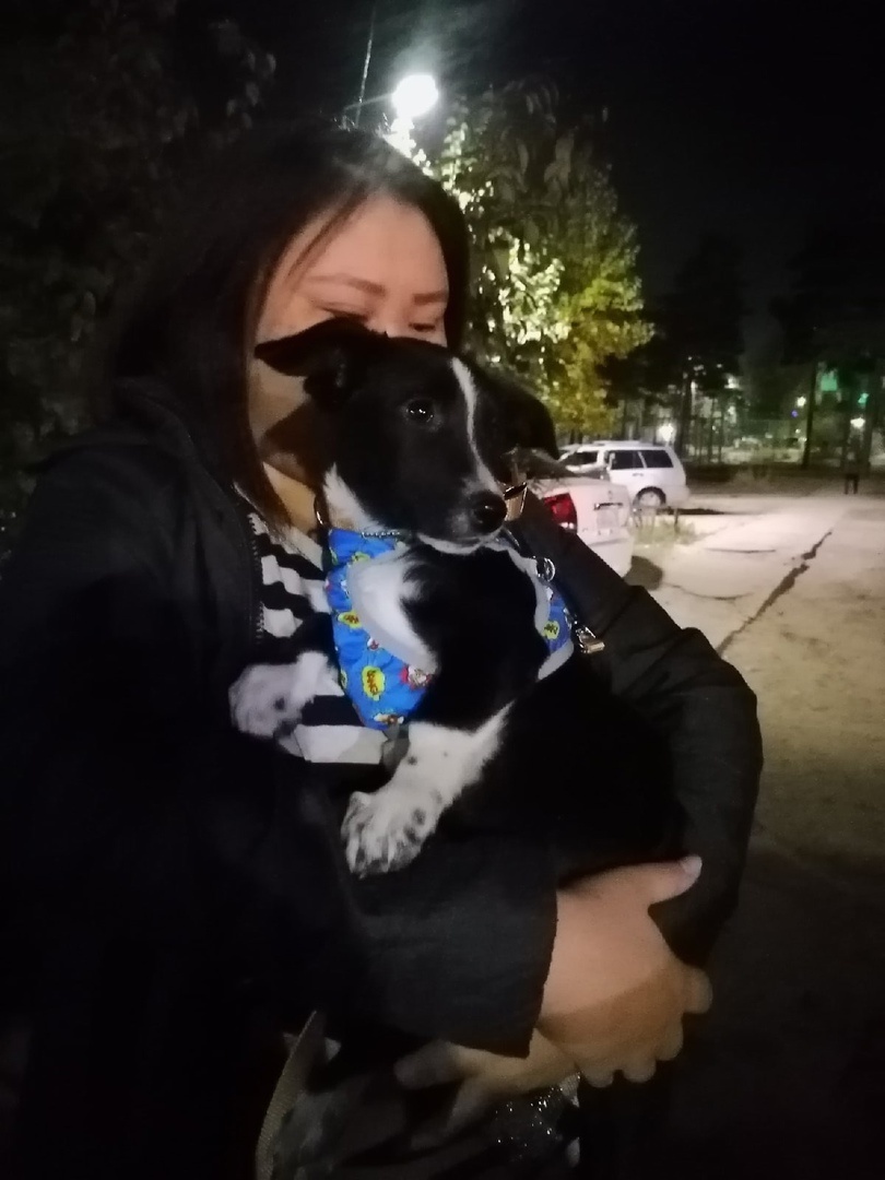 Щенулька с хозяюшкой