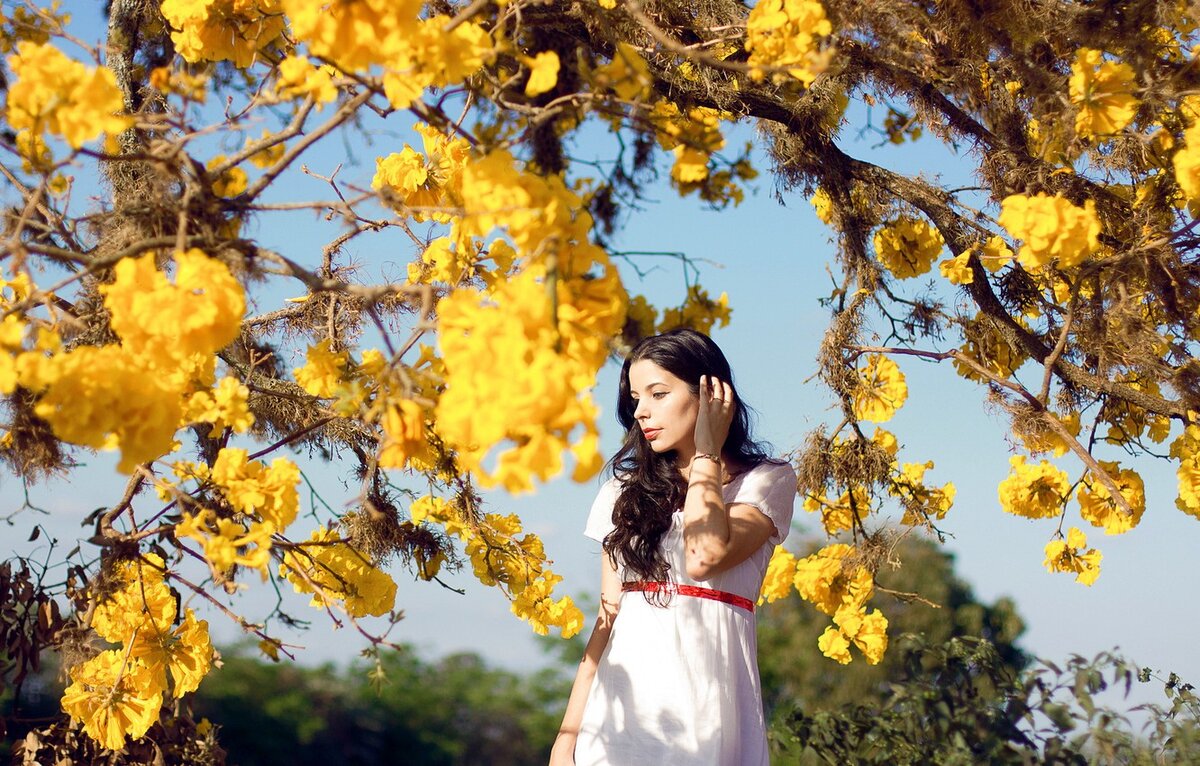 Фото из открытых источников.