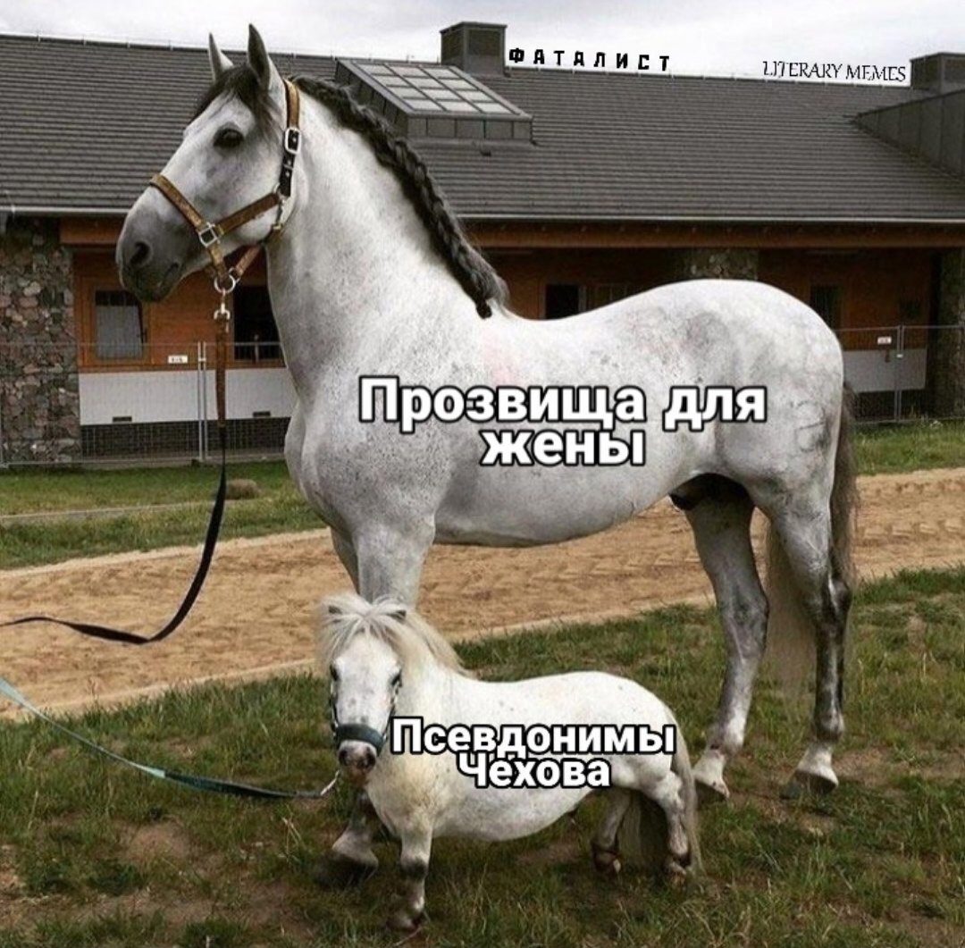 #чехов #поэзия #книги 