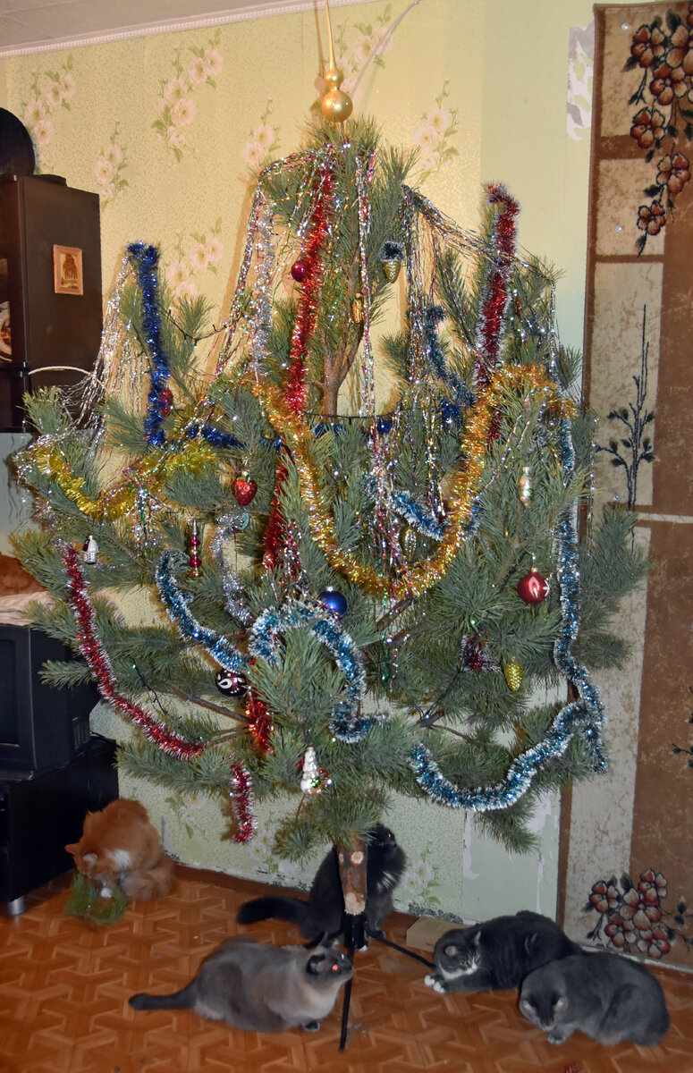 А это наша сосенка... тоже не трогают. Игрушки только стеклянные)))