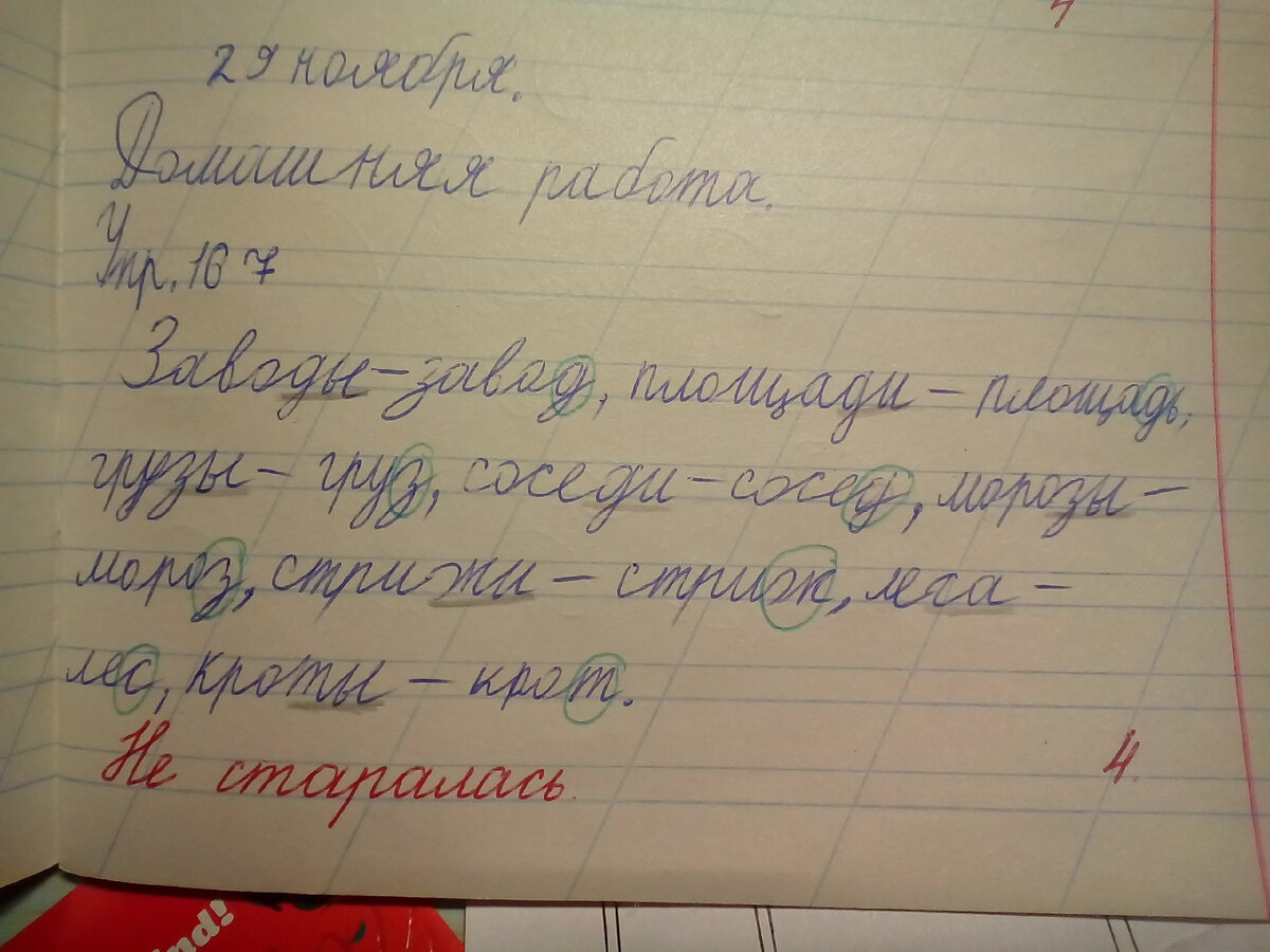 Адское это дело и неблагодарное – проверка ученических тетрадей. Несколько  лайфхаков и советов от учителей | Провинциальные хроники | Дзен