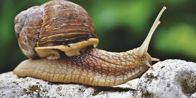 Источник Rusargument