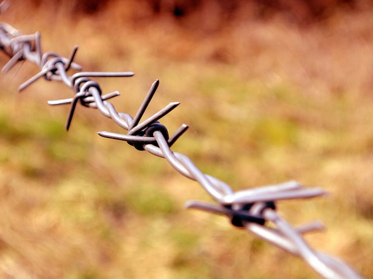 Фото: rosbalt.ru