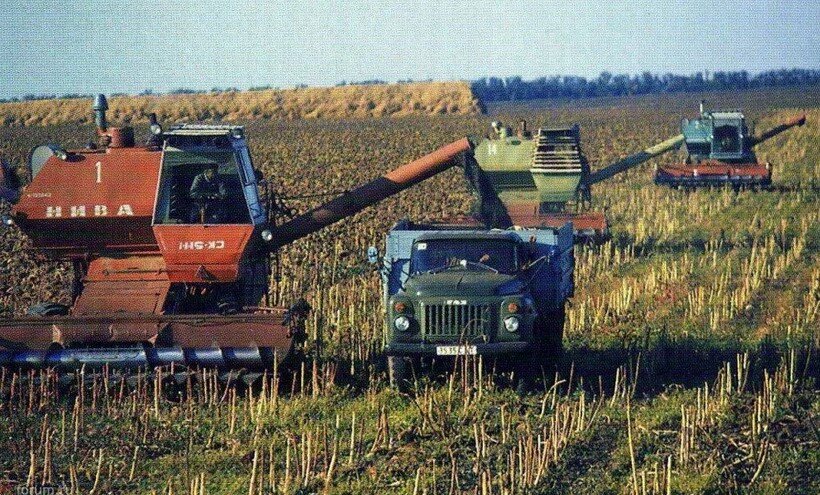 Сельское хозяйство в СССР. Фото: открытый источник.