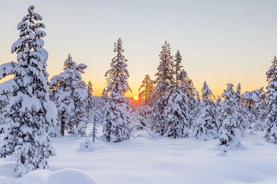 Какая погода будет зимой в Сибири. Фото: Рixabay.com 