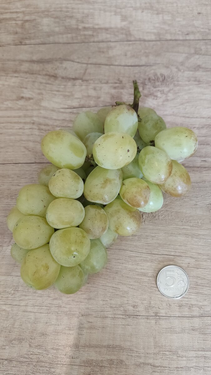 Лора (Флора)