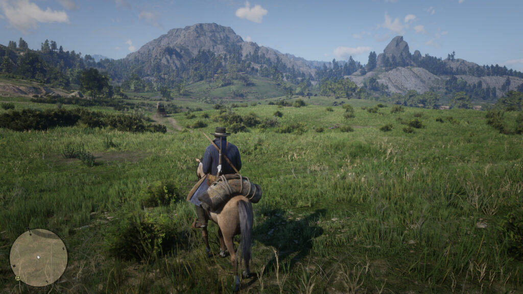 Скриншот из игры Red Dead Redemption 2
